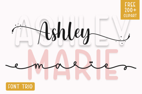 The Perfect Pair: Why Ashley Marie Elevates Every Project
